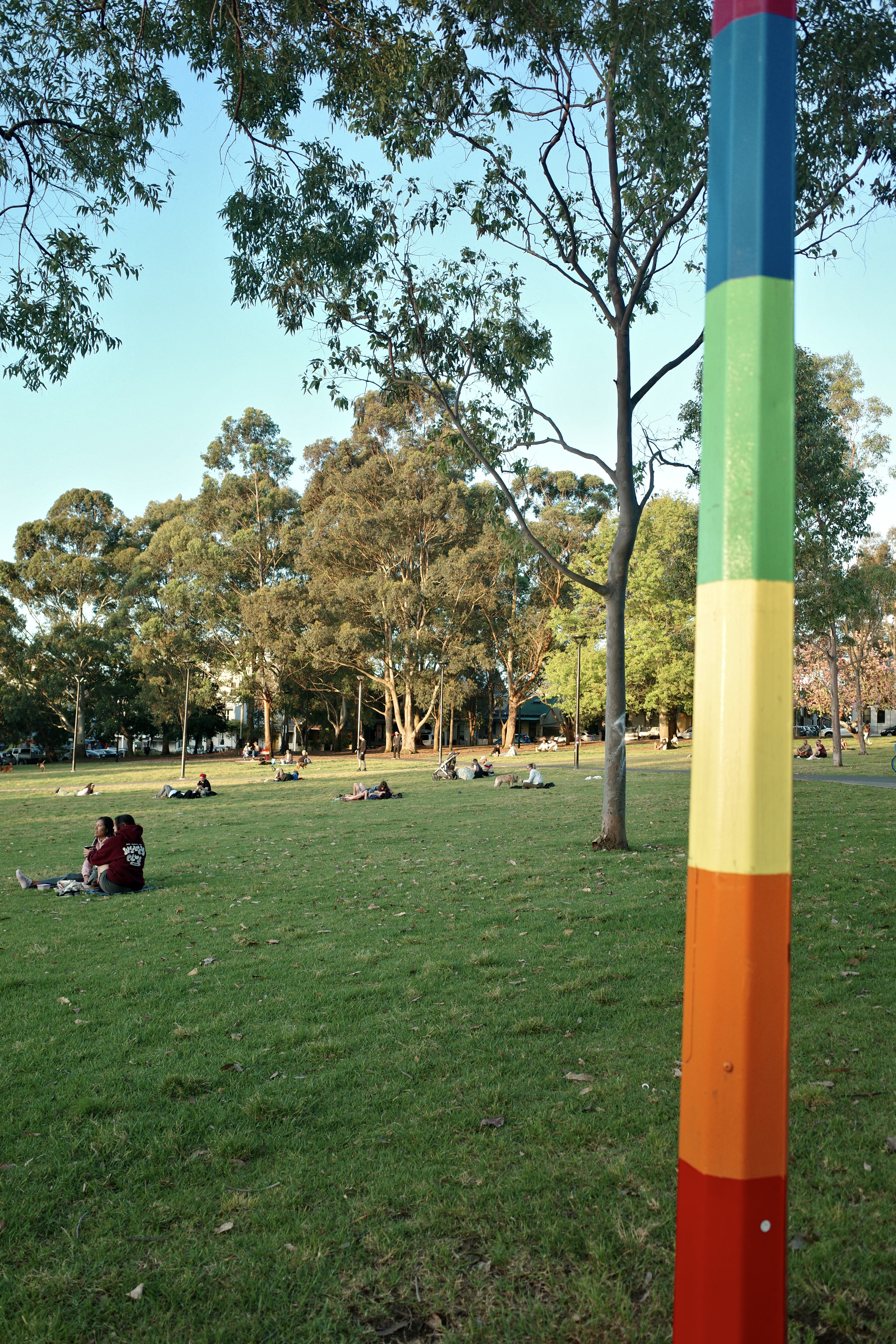 Safety & Legal Guidelines page